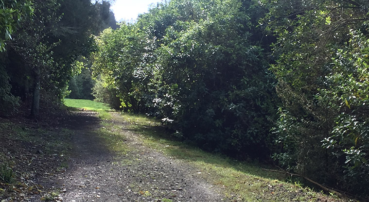 Smiths Bush Path - Optional unpaved side track.