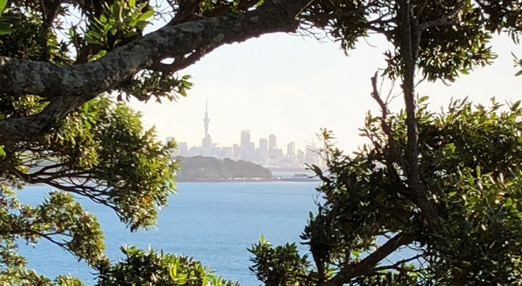 St Heliers to Achilles Point - Views through pōhutukawa to Auckland skyline.