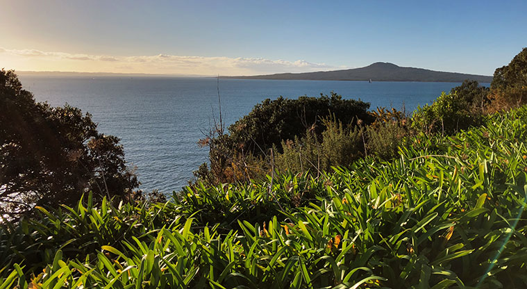 St Heliers to Achilles Point - Views to Rangitoto.