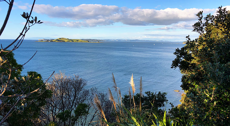 St Heliers to Achilles Point - Views to Browns Island.