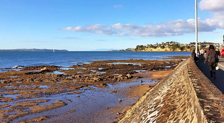 St Heliers to Mission Bay Path – View from path heading back to St Heliers.