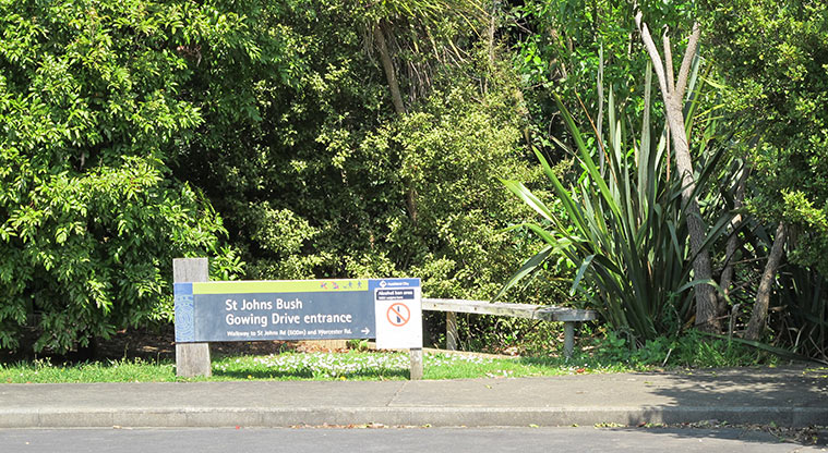 St Johns Bush Path - Access from Gowing Drive.