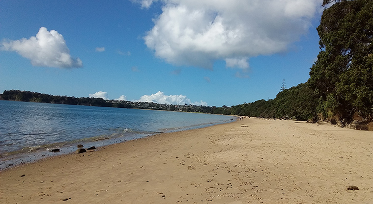 Stanmore Bay Beach Path