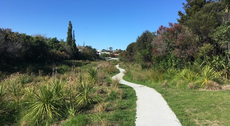 Stanmore Bay Path – Section of the path through the wetlands.