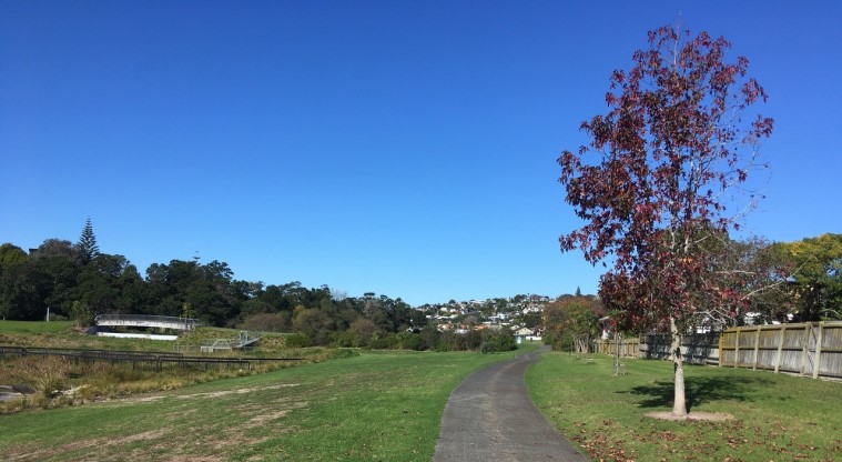 Stanmore Bay Path – Typical section of the path.