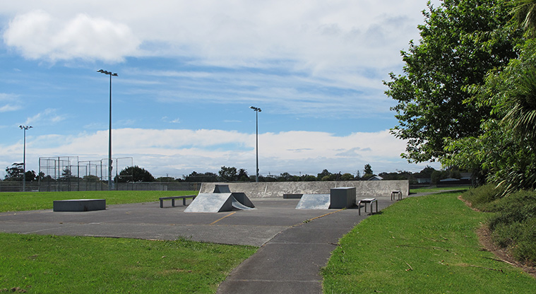 Starling Park Path - Skate park.