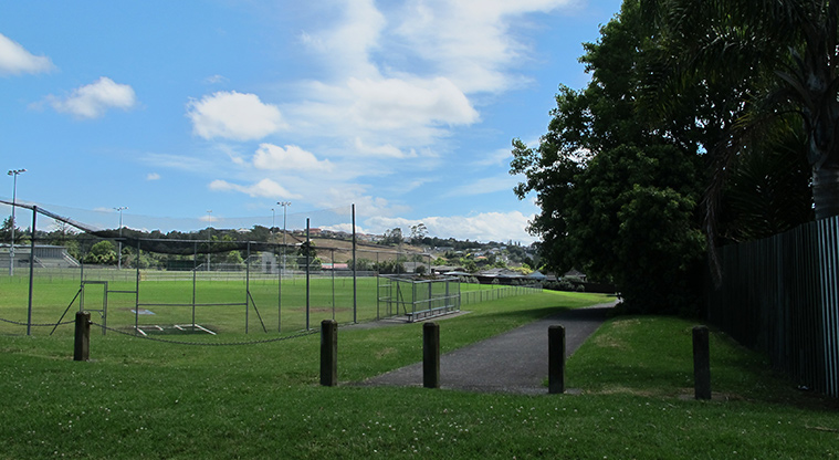 Starling Park Path - Access from Waitemata Drive.