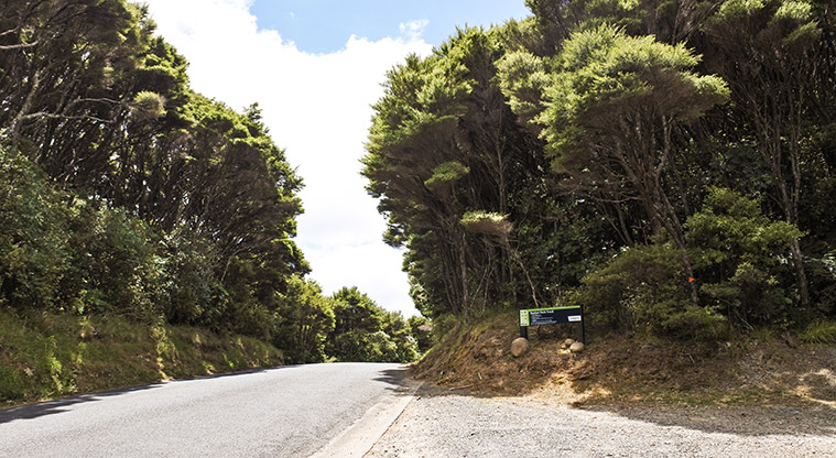 Station Rock Path - Park near the top of the road between Medlands Beach and Tryphena Bay.