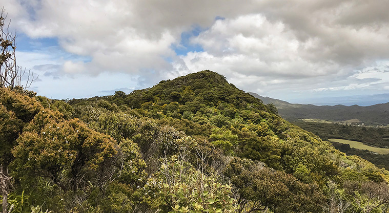 Station Rock Path - The hills around Station Rock.
