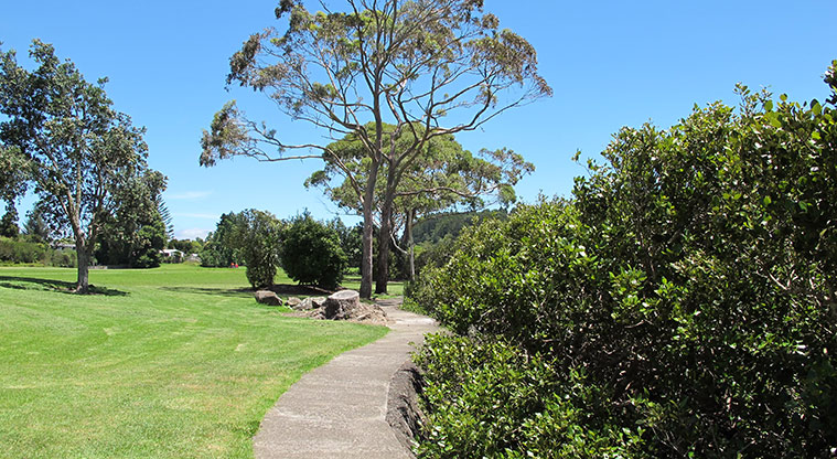 Taipari Path - Path start adjacent to the car park.