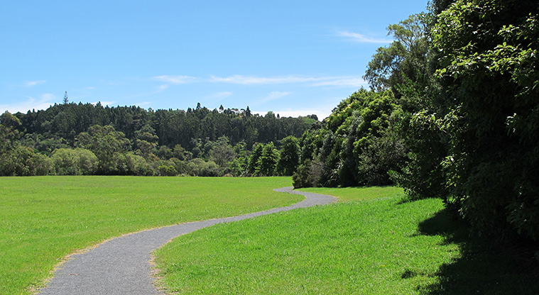Taipari Path - Typical section of the path winding around the park.