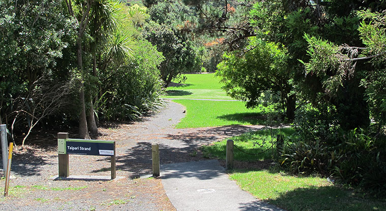 Taipari Path - Alternative access from Taipari Road.