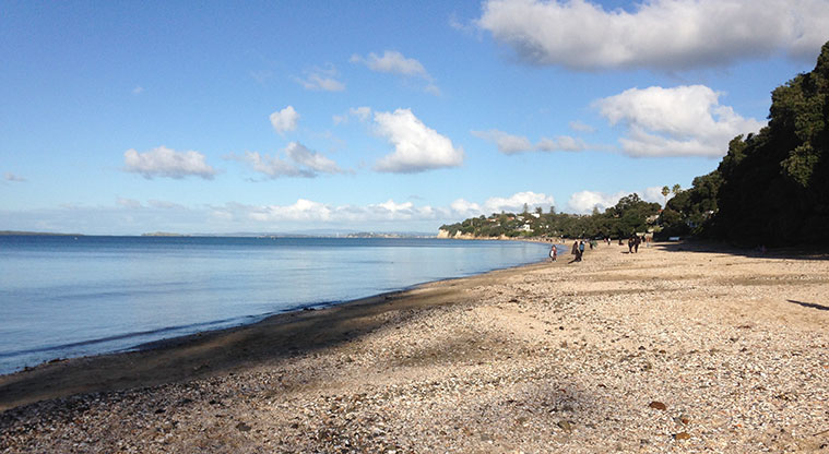Takapuna Beach Path - Walk along the beach.