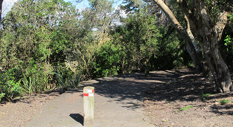 Takapuna to Devonport Path - Francis Street access to Northboro Reserve.
