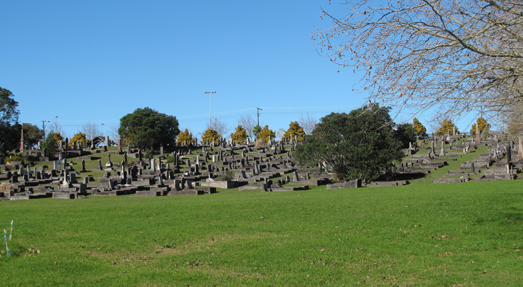Takapuna to Devonport Path - O’Neills Cemetery.