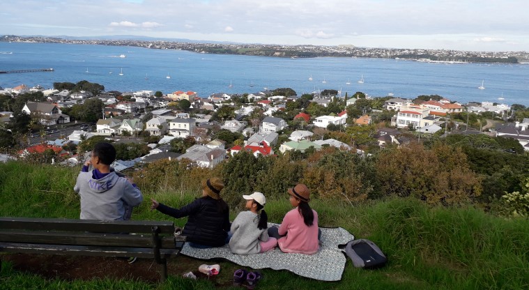 Takarunga / Mt Victoria Path - View from the mown grass track around the edge of the maunga, looking over the Waitematā Harbour.