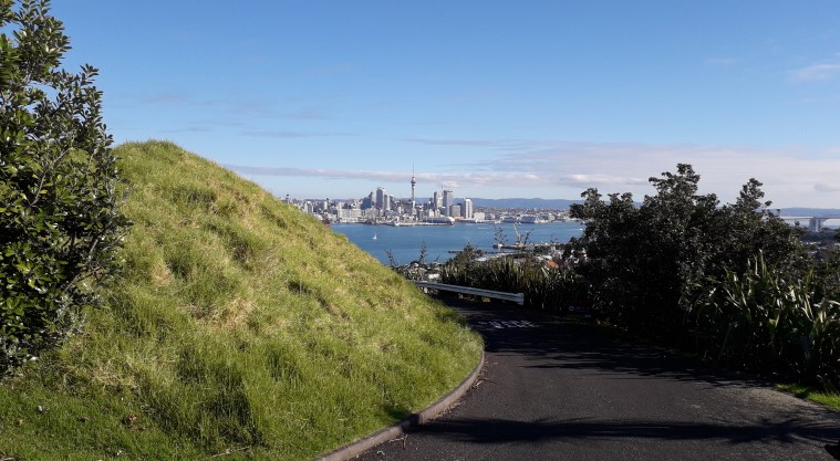 Takarunga / Mt Victoria Path - View of the city centre as you descend down the maunga.