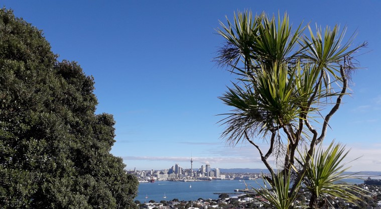Takarunga / Mt Victoria Path - Views over Devonport to the Waitematā Harbour.