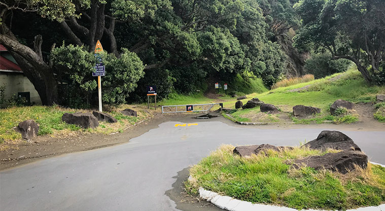 Tasman Lookout Path - The path starts at the end of Marine Parade at Piha. There is plenty of parking but it does get busy in summer.