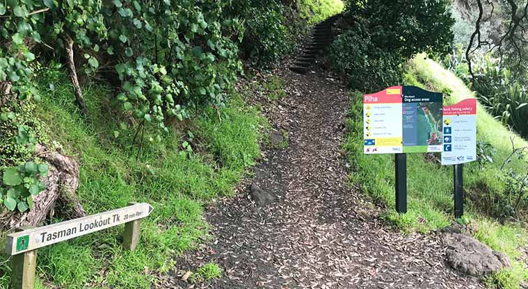 Tasman Lookout Path - Head up the path, to go directly to the best views and to get the climbing over and done with.