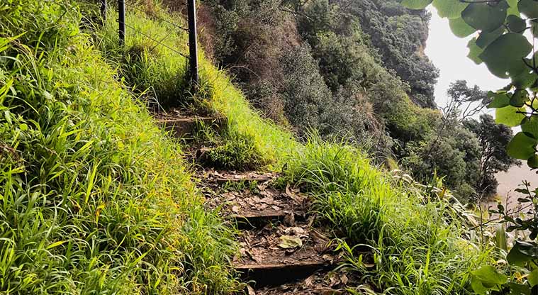 Tasman Lookout Path - The path starts with simple steps up a steep hill.