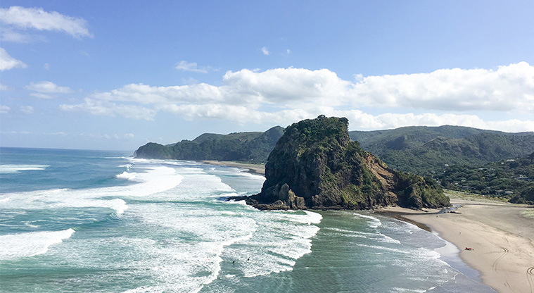 Tasman Lookout Path - Take the side tack to the Tasman Lookout for great views back across Piha beach and Lion Rock.