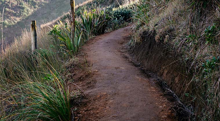 Tasman Lookout Path - A nice coastal track leads down to the gap and the blow-hole.