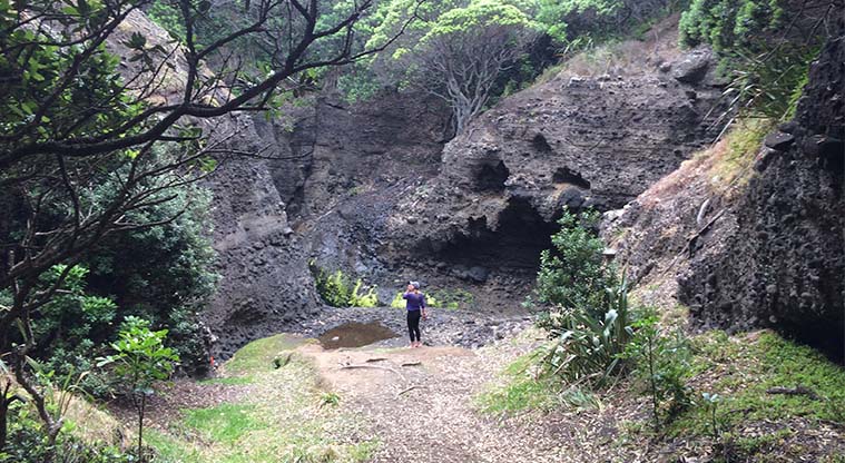 Tasman Lookout Path - Approach to the blow-hole. Watch out for slippery rocks.