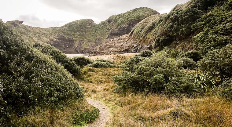 Tasman Lookout Path - Follow the trail through the dunes to The Gap.