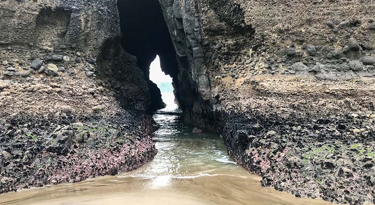 Tasman Lookout Path - The Key Hole in Taitomo Island can be reached at low tide.
