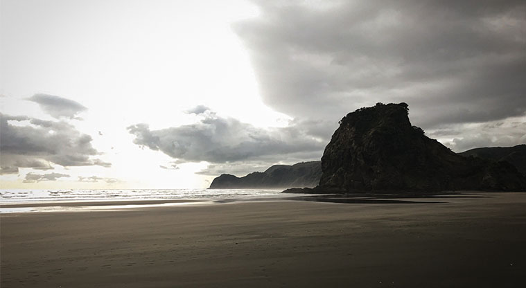 Tasman Lookout Path - Back on Piha Beach with its grand vistas, either keep going to Lion Rock or head right back to the car park.