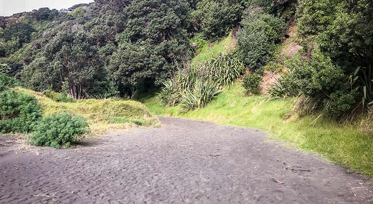 Tasman Lookout Path - Sandy track to the car park.