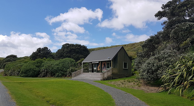 Tāwharanui Ecology Path - Path goes past information booth.