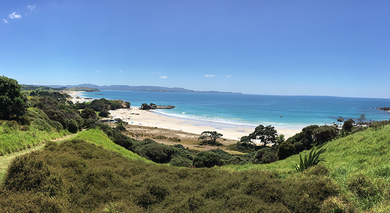 Tāwharanui Ecology Trail