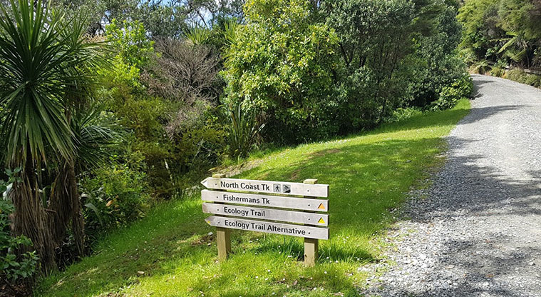 Tāwharanui Ecology Path - Turn left at this sign (or you can complete the loop by going straight).