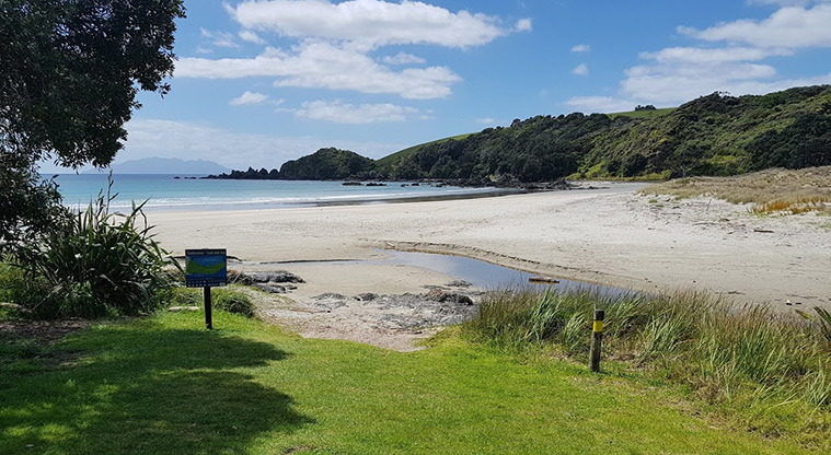 Tāwharanui Ecology Path - Low tide path option: head left along the beach instead of straight ahead.