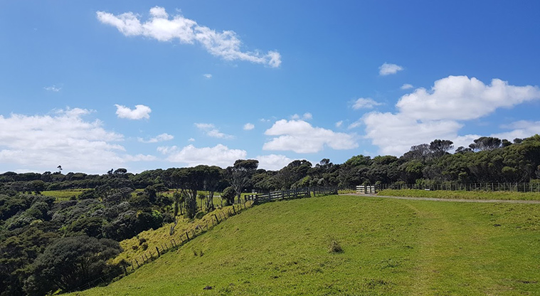 Tāwharanui Ecology Path - Low tide option: Path rejoins alternative path route.