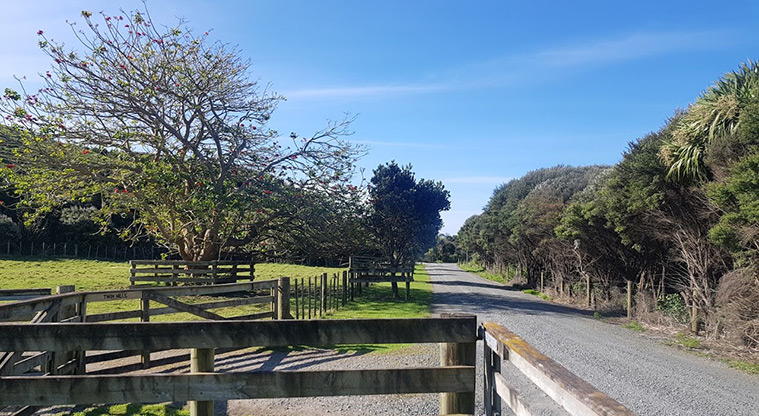 Tāwharanui West End Path - Follow the gravel path away from the beach towards the fence line and gate.