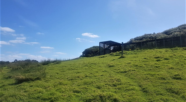 Tāwharanui West End Path - Path leading up to predator fence.