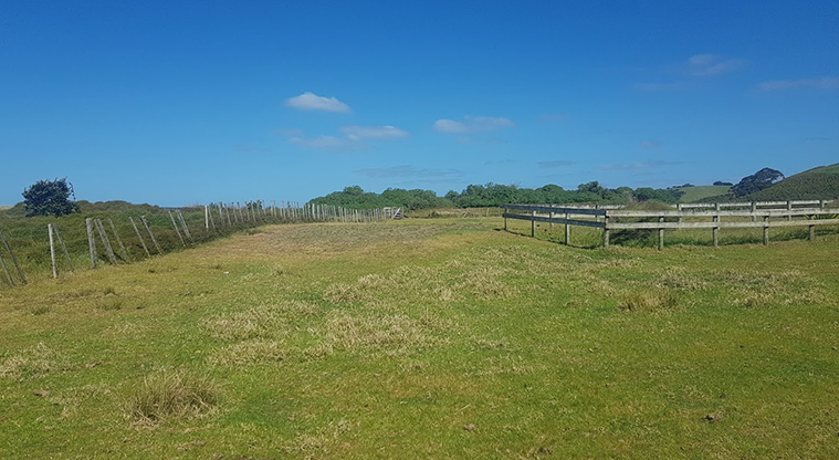 Tāwharanui West End Path - Path through paddock to the beach.