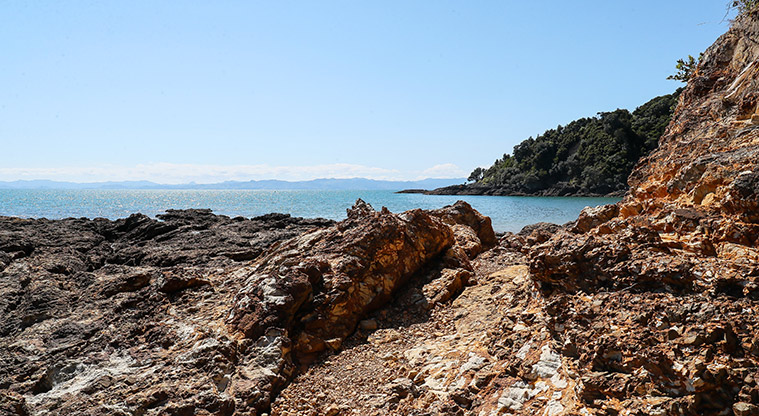 Tawhitokino Beach Track - Short section of rock hopping.