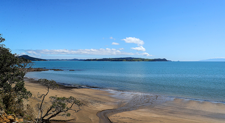 Tawhitokino Beach Track - Views out to Ponui Island.