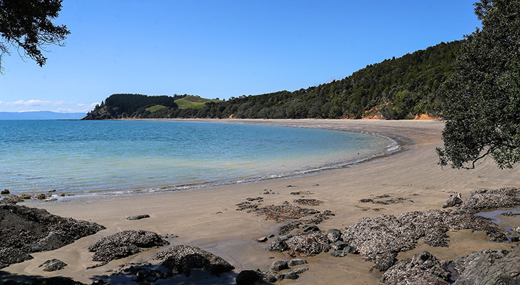 Tawhitokino Beach Track - Tawhitokino Beach.
