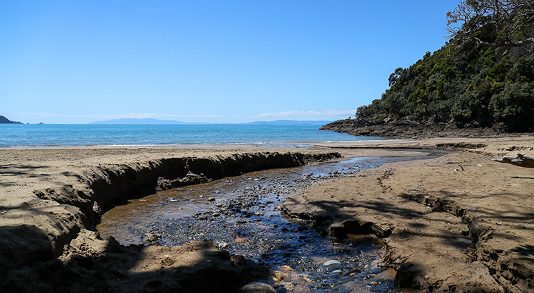 Tawhitokino Beach Track - Be prepared to get your feet wet.