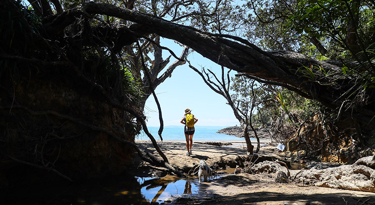 Tawhitokino Beach Track - Picturesque stops all along the coast.