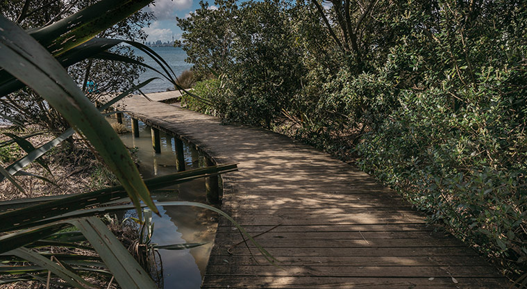 Te Atatū Harbourside Path - Section of boardwalk.