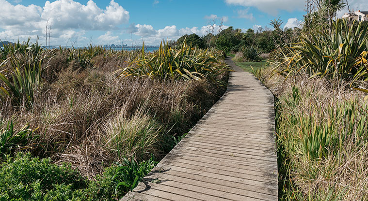 Te Atatū Harbourside Path - Boardwalk along the coastal edge.
