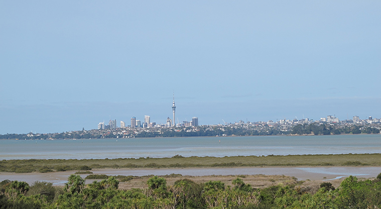 Te Atatu Playground Path - Great views over the city centre.