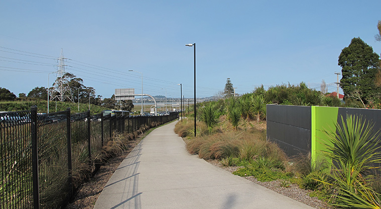 Te Atatu to City Path - Use the North Western cycleway.