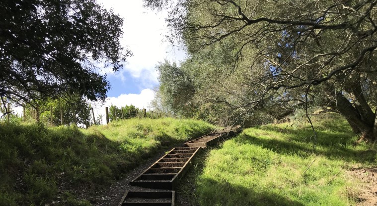 Te Kōpuke / Tītīkōpuke / Mt St John - Steps on the final climb to the summit.